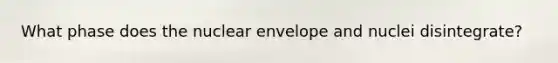 What phase does the nuclear envelope and nuclei disintegrate?