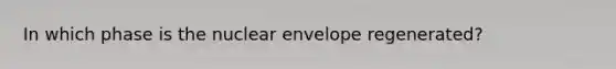 In which phase is the nuclear envelope regenerated?