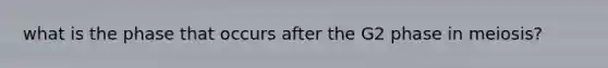 what is the phase that occurs after the G2 phase in meiosis?