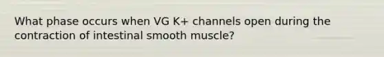 What phase occurs when VG K+ channels open during the contraction of intestinal smooth muscle?