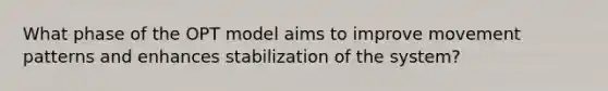 What phase of the OPT model aims to improve movement patterns and enhances stabilization of the system?