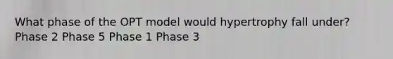 What phase of the OPT model would hypertrophy fall under? Phase 2 Phase 5 Phase 1 Phase 3
