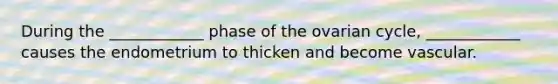 During the ____________ phase of the ovarian cycle, ____________ causes the endometrium to thicken and become vascular.