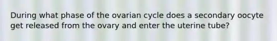 During what phase of the ovarian cycle does a secondary oocyte get released from the ovary and enter the uterine tube?