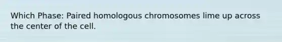 Which Phase: Paired homologous chromosomes lime up across the center of the cell.