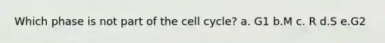 Which phase is not part of the cell cycle? a. G1 b.M c. R d.S e.G2