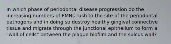 In which phase of periodontal disease progression do the increasing numbers of PMNs rush to the site of the periodontal pathogens and in doing so destroy healthy gingival <a href='https://www.questionai.com/knowledge/kYDr0DHyc8-connective-tissue' class='anchor-knowledge'>connective tissue</a> and migrate through the junctional epithelium to form a "wall of cells" between the plaque biofilm and the sulcus wall?