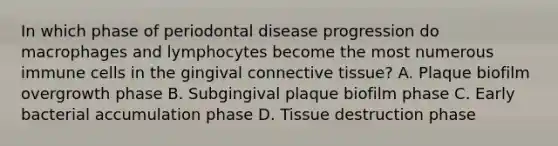 In which phase of periodontal disease progression do macrophages and lymphocytes become the most numerous immune cells in the gingival connective tissue? A. Plaque biofilm overgrowth phase B. Subgingival plaque biofilm phase C. Early bacterial accumulation phase D. Tissue destruction phase