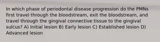 In which phase of periodontal disease progression do the PMNs first travel through the bloodstream, exit the bloodstream, and travel through the gingival connective tissue to the gingival sulcus? A) Initial lesion B) Early lesion C) Established lesion D) Advanced lesion