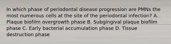 In which phase of periodontal disease progression are PMNs the most numerous cells at the site of the periodontal infection? A. Plaque biofilm overgrowth phase B. Subgingival plaque biofilm phase C. Early bacterial accumulation phase D. Tissue destruction phase