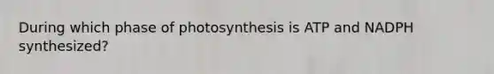 During which phase of photosynthesis is ATP and NADPH synthesized?