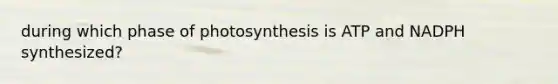 during which phase of photosynthesis is ATP and NADPH synthesized?