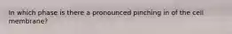 In which phase is there a pronounced pinching in of the cell membrane?