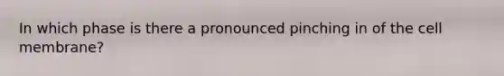 In which phase is there a pronounced pinching in of the cell membrane?