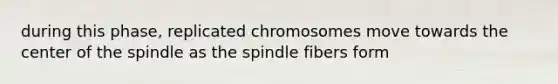 during this phase, replicated chromosomes move towards the center of the spindle as the spindle fibers form