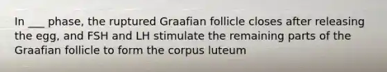 In ___ phase, the ruptured Graafian follicle closes after releasing the egg, and FSH and LH stimulate the remaining parts of the Graafian follicle to form the corpus luteum