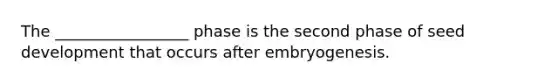 The _________________ phase is the second phase of seed development that occurs after embryogenesis.