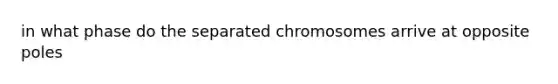 in what phase do the separated chromosomes arrive at opposite poles