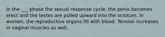 In the ___ phase the sexual response cycle, the penis becomes erect and the testes are pulled upward into the scrotum. In women, the reproductive organs fill with blood. Tension increases in vaginal muscles as well.