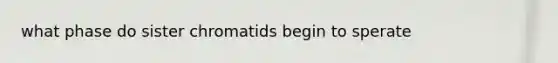 what phase do sister chromatids begin to sperate