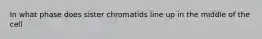 In what phase does sister chromatids line up in the middle of the cell