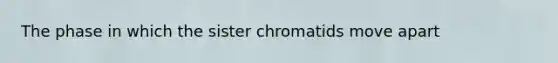 The phase in which the sister chromatids move apart