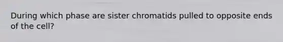 During which phase are sister chromatids pulled to opposite ends of the cell?