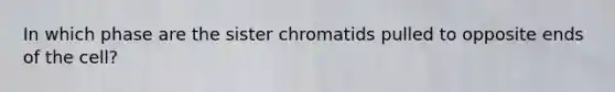 In which phase are the sister chromatids pulled to opposite ends of the cell?