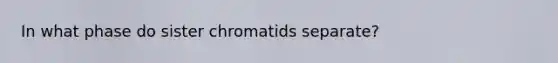 In what phase do sister chromatids separate?