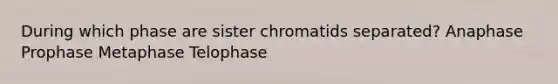 During which phase are sister chromatids separated? Anaphase Prophase Metaphase Telophase