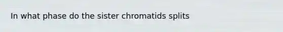 In what phase do the sister chromatids splits