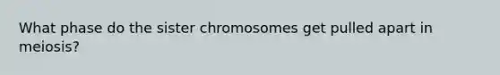 What phase do the sister chromosomes get pulled apart in meiosis?