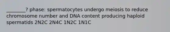 ________? phase: spermatocytes undergo meiosis to reduce chromosome number and DNA content producing haploid spermatids 2N2C 2N4C 1N2C 1N1C