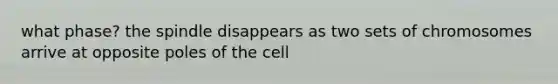 what phase? the spindle disappears as two sets of chromosomes arrive at opposite poles of the cell