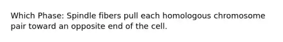 Which Phase: Spindle fibers pull each homologous chromosome pair toward an opposite end of the cell.