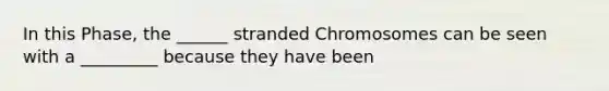 In this Phase, the ______ stranded Chromosomes can be seen with a _________ because they have been