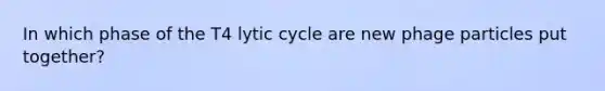 In which phase of the T4 lytic cycle are new phage particles put together?