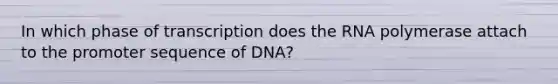 In which phase of transcription does the RNA polymerase attach to the promoter sequence of DNA?