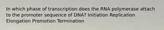 In which phase of transcription does the RNA polymerase attach to the promoter sequence of DNA? Initiation Replication Elongation Promotion Termination