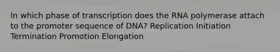 In which phase of transcription does the RNA polymerase attach to the promoter sequence of DNA? Replication Initiation Termination Promotion Elongation