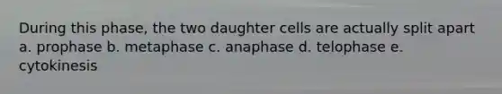 During this phase, the two daughter cells are actually split apart a. prophase b. metaphase c. anaphase d. telophase e. cytokinesis