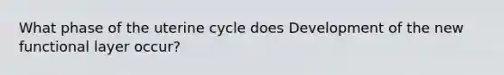 What phase of the uterine cycle does Development of the new functional layer occur?