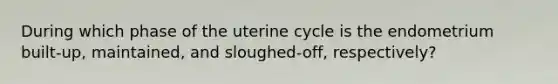 During which phase of the uterine cycle is the endometrium built-up, maintained, and sloughed-off, respectively?