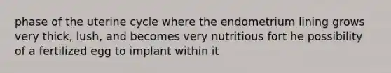 phase of the uterine cycle where the endometrium lining grows very thick, lush, and becomes very nutritious fort he possibility of a fertilized egg to implant within it