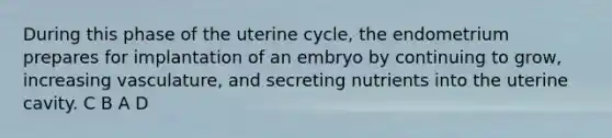 During this phase of the uterine cycle, the endometrium prepares for implantation of an embryo by continuing to grow, increasing vasculature, and secreting nutrients into the uterine cavity. C B A D