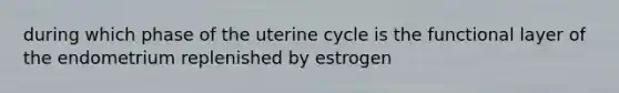 during which phase of the uterine cycle is the functional layer of the endometrium replenished by estrogen