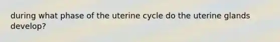 during what phase of the uterine cycle do the uterine glands develop?