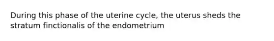 During this phase of the uterine cycle, the uterus sheds the stratum finctionalis of the endometrium