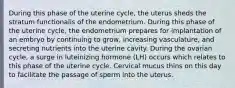 During this phase of the uterine cycle, the uterus sheds the stratum functionalis of the endometrium. During this phase of the uterine cycle, the endometrium prepares for implantation of an embryo by continuing to grow, increasing vasculature, and secreting nutrients into the uterine cavity. During the ovarian cycle, a surge in luteinizing hormone (LH) occurs which relates to this phase of the uterine cycle. Cervical mucus thins on this day to facilitate the passage of sperm into the uterus.