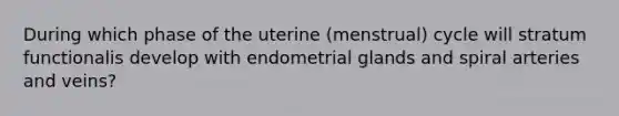 During which phase of the uterine (menstrual) cycle will stratum functionalis develop with endometrial glands and spiral arteries and veins?